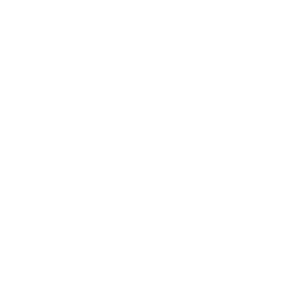 Oracle Red Bull Racing Partners