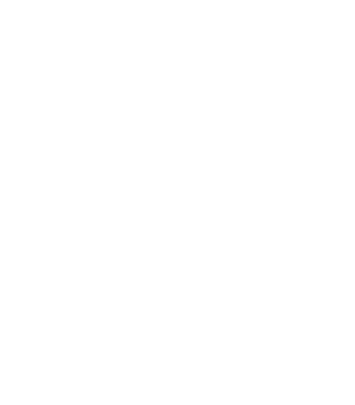 Oracle Red Bull Racing Partners
